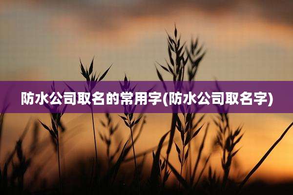 防水公司取名的常用字(防水公司取名字)