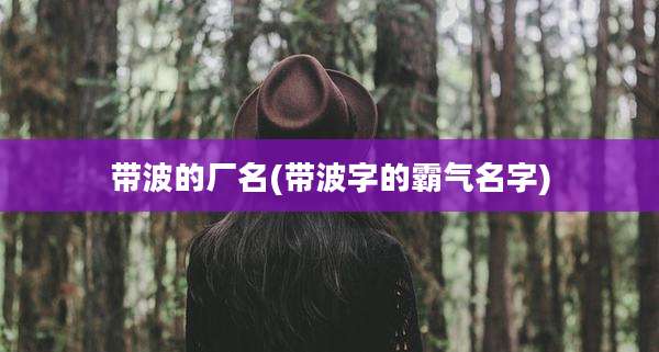 带波的厂名(带波字的霸气名字)