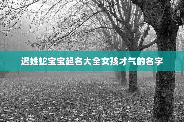 迟姓蛇宝宝起名大全女孩才气的名字
