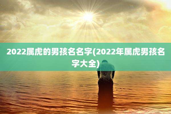 2022属虎的男孩名名字(2022年属虎男孩名字大全)