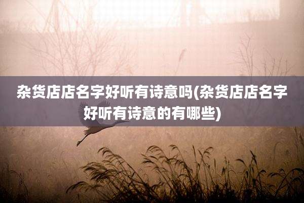 杂货店店名字好听有诗意吗(杂货店店名字好听有诗意的有哪些)