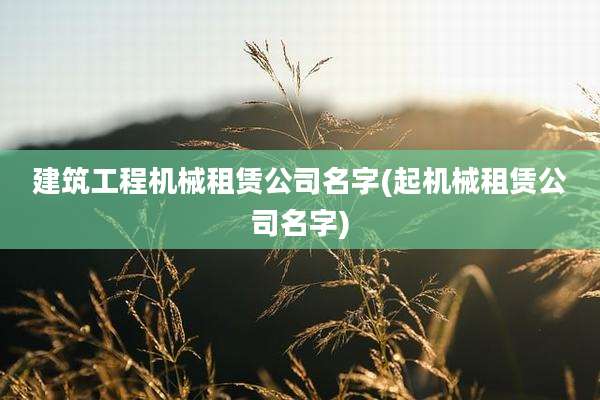 建筑工程机械租赁公司名字(起机械租赁公司名字)