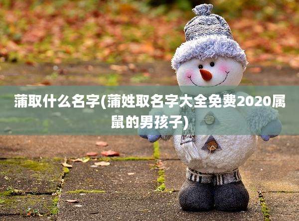 蒲取什么名字(蒲姓取名字大全免费2020属鼠的男孩子)