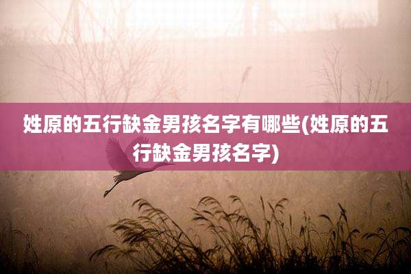 姓原的五行缺金男孩名字有哪些(姓原的五行缺金男孩名字)