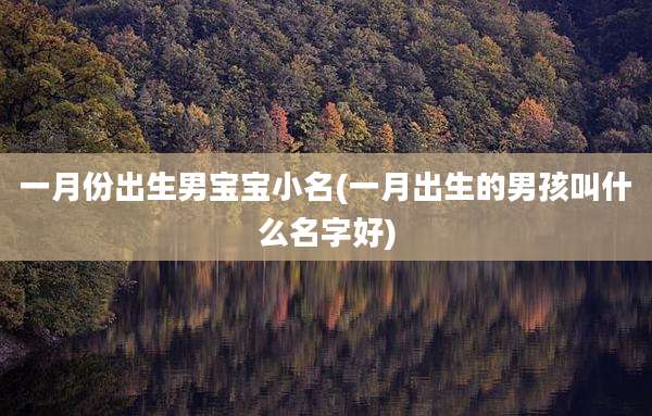 一月份出生男宝宝小名(一月出生的男孩叫什么名字好)