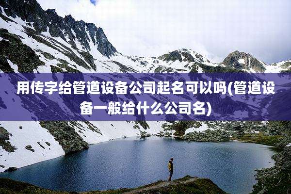用传字给管道设备公司起名可以吗(管道设备一般给什么公司名)