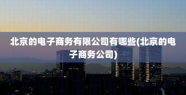 北京的电子商务有限公司有哪些(北京的电子商务公司)