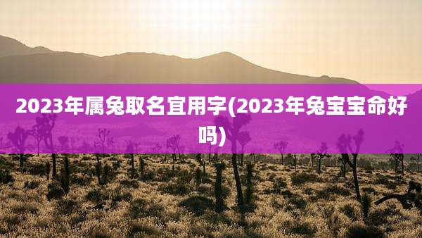 2023年属兔取名宜用字(2023年兔宝宝命好吗)
