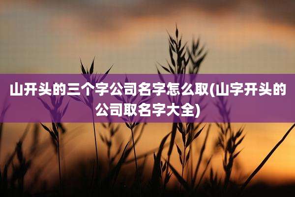 山开头的三个字公司名字怎么取(山字开头的公司取名字大全)