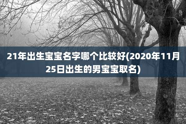 21年出生宝宝名字哪个比较好(2020年11月25日出生的男宝宝取名)