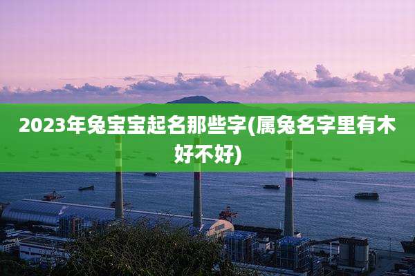 2023年兔宝宝起名那些字(属兔名字里有木好不好)