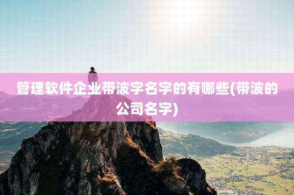 管理软件企业带波字名字的有哪些(带波的公司名字)