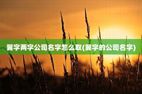 翼字两字公司名字怎么取(翼字的公司名字)