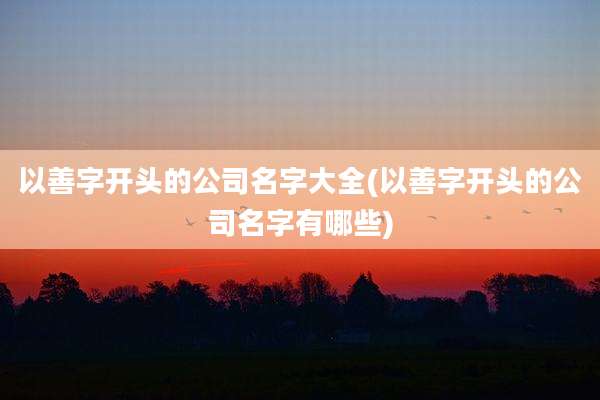 以善字开头的公司名字大全(以善字开头的公司名字有哪些)