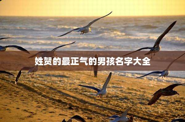 姓贺的最正气的男孩名字大全