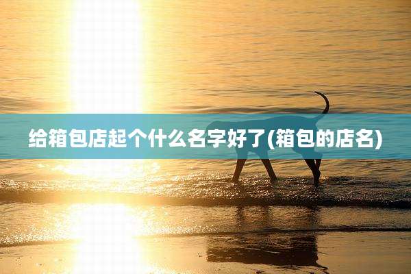 给箱包店起个什么名字好了(箱包的店名)