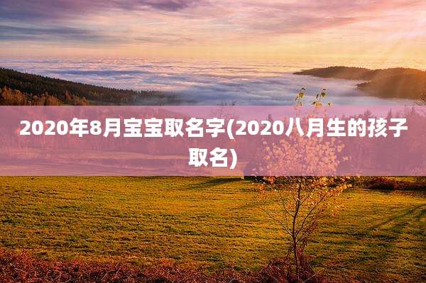 2020年8月宝宝取名字(2020八月生的孩子取名)