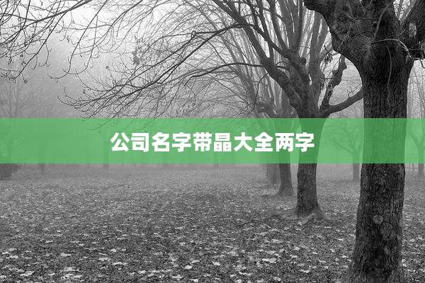 公司名字带晶大全两字