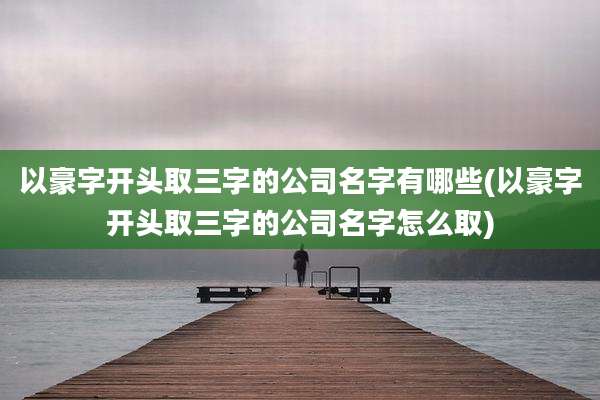 以豪字开头取三字的公司名字有哪些(以豪字开头取三字的公司名字怎么取)