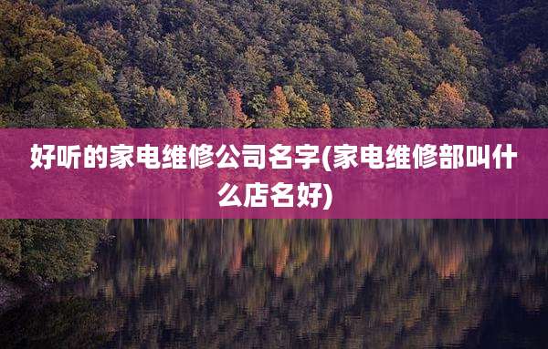 好听的家电维修公司名字(家电维修部叫什么店名好)