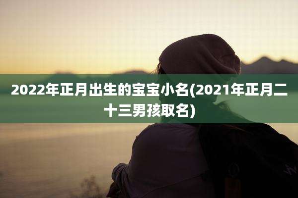 2022年正月出生的宝宝小名(2021年正月二十三男孩取名)