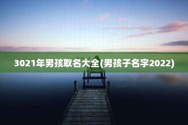 3021年男孩取名大全(男孩子名字2022)
