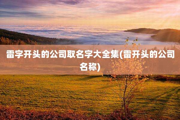 雷字开头的公司取名字大全集(雷开头的公司名称)