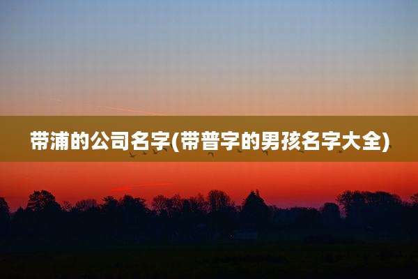 带浦的公司名字(带普字的男孩名字大全)