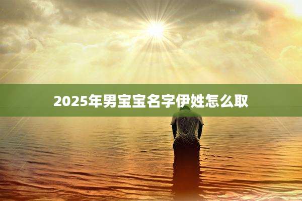2025年男宝宝名字伊姓怎么取