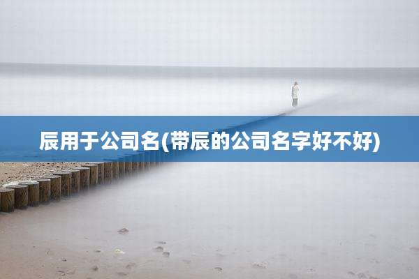 辰用于公司名(带辰的公司名字好不好)