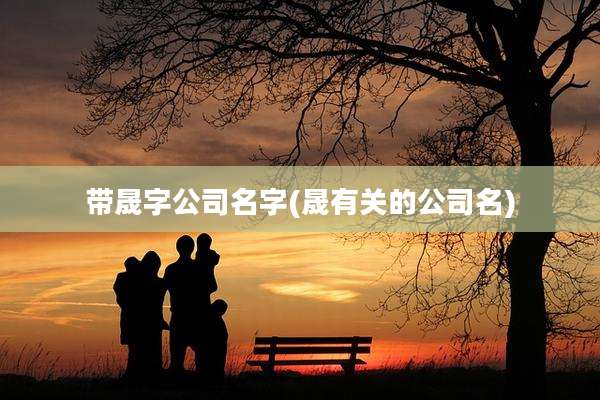 带晟字公司名字(晟有关的公司名)