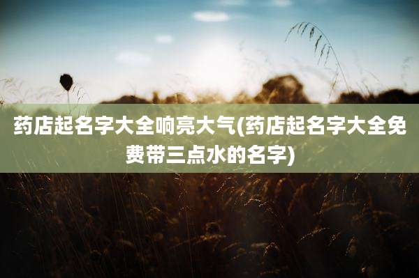 药店起名字大全响亮大气(药店起名字大全免费带三点水的名字)