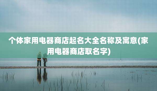 个体家用电器商店起名大全名称及寓意(家用电器商店取名字)