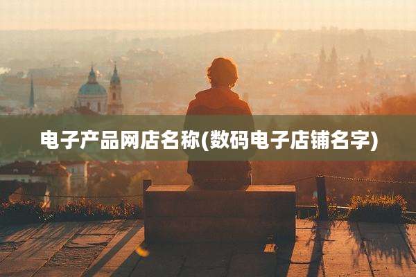 电子产品网店名称(数码电子店铺名字)