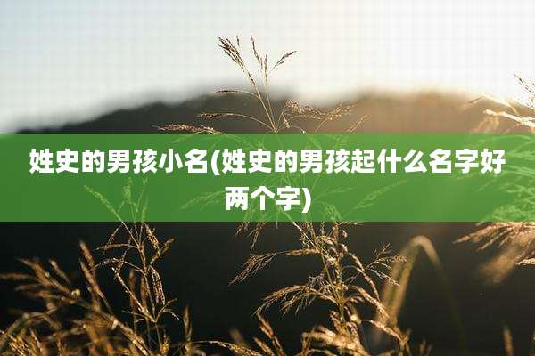 姓史的男孩小名(姓史的男孩起什么名字好两个字)
