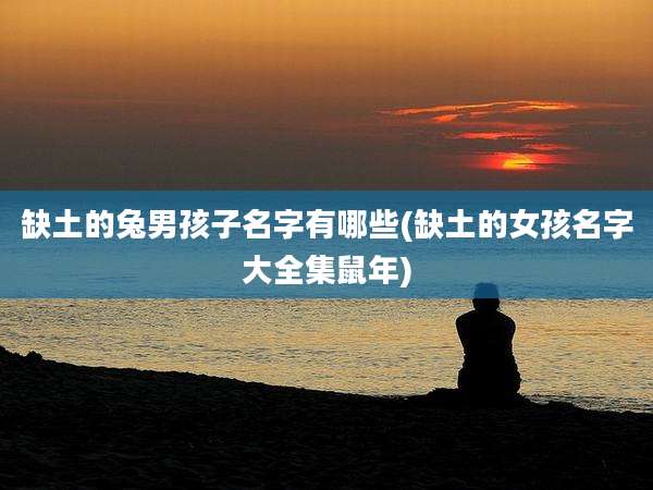 缺土的兔男孩子名字有哪些(缺土的女孩名字大全集鼠年)