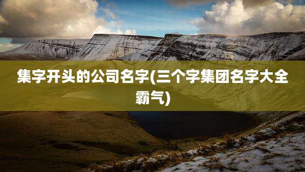 集字开头的公司名字(三个字集团名字大全霸气)