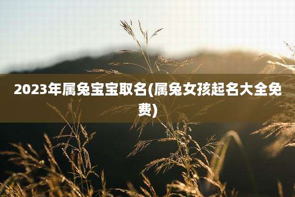 2023年属兔宝宝取名(属兔女孩起名大全免费)