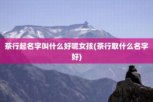 茶行起名字叫什么好呢女孩(茶行取什么名字好)