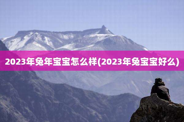 2023年兔年宝宝怎么样(2023年兔宝宝好么)