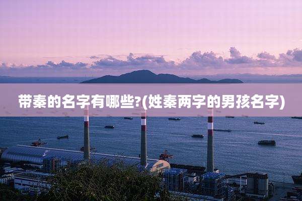 带秦的名字有哪些?(姓秦两字的男孩名字)