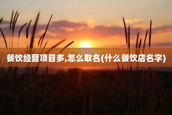 餐饮经营项目多,怎么取名(什么餐饮店名字)