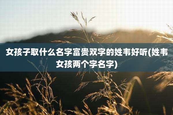 女孩子取什么名字富贵双字的姓韦好听(姓韦女孩两个字名字)