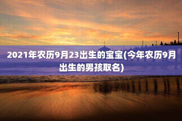 2021年农历9月23出生的宝宝(今年农历9月出生的男孩取名)