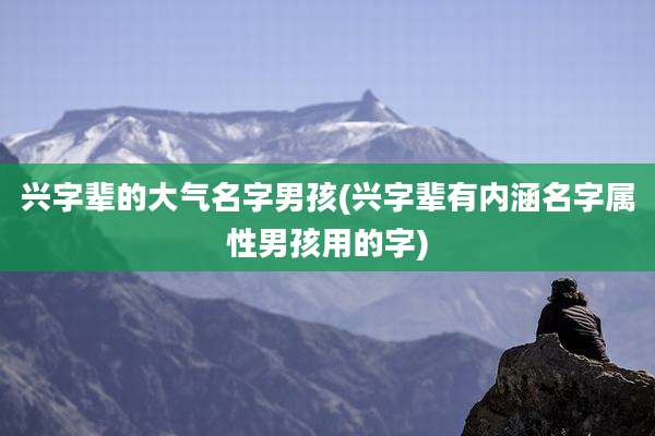 兴字辈的大气名字男孩(兴字辈有内涵名字属性男孩用的字)