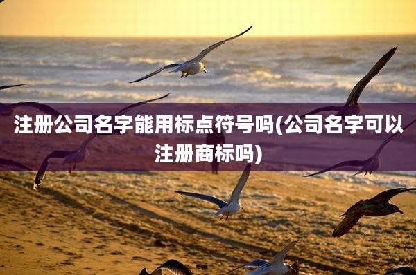 注册公司名字能用标点符号吗(公司名字可以注册商标吗)