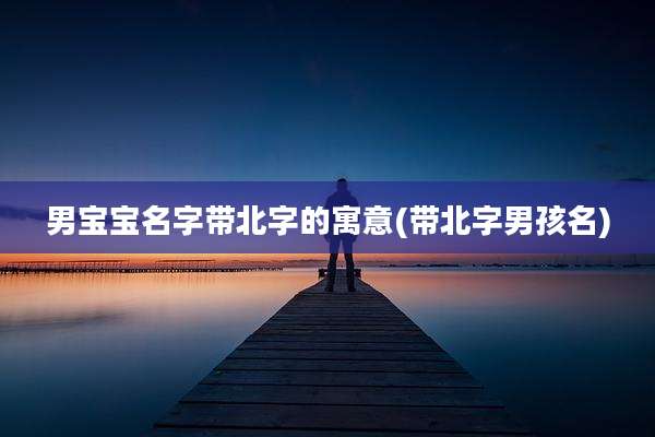 男宝宝名字带北字的寓意(带北字男孩名)