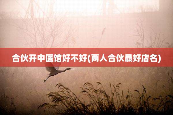 合伙开中医馆好不好(两人合伙最好店名)