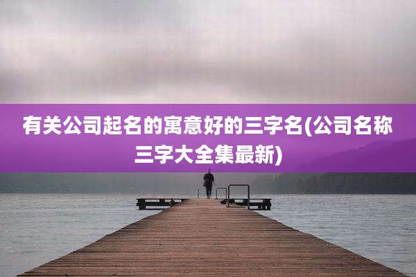 有关公司起名的寓意好的三字名(公司名称三字大全集最新)