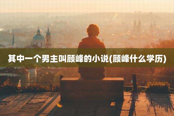 其中一个男主叫顾峰的小说(顾峰什么学历)